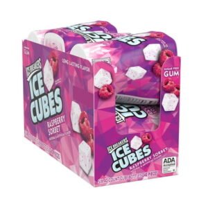 ICE CUBES BOTTLES,  RASPBERRY SORBET 6 CT *NEW*