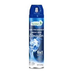 AEROSOL AIR FRESHNER SMOKE ODOR ELIMINATOR 12 CT